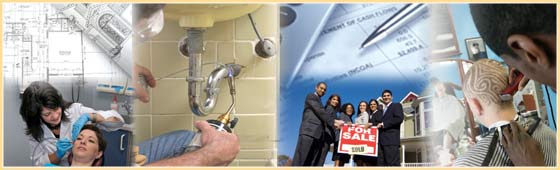 Division of Occupational and Professional Licensing