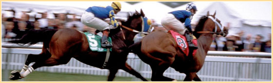 Maryland Racing Commission