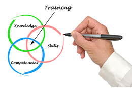 a hand drawing a venn diagram with large circles as knowledge, skills and competencies. the overlapping center is training